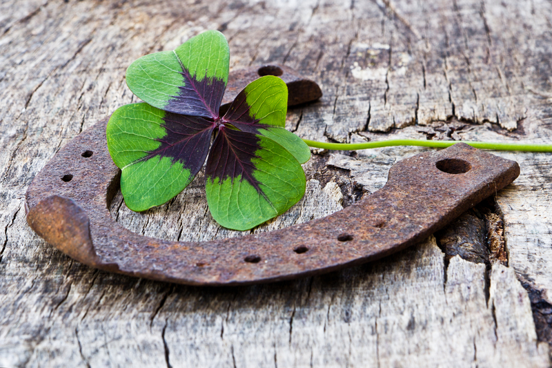 moving company moving services